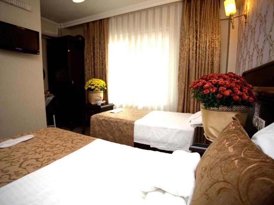 Hotel Sultanahmet Park Istanboel